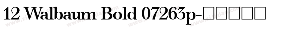 12 Walbaum Bold 07263p字体转换